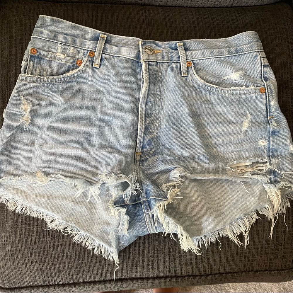 Agolde Parker Cut Off Shorts- Swampmeet